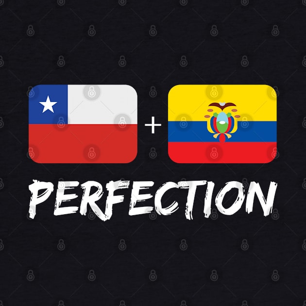 Chilean Plus Ecuadorian Perfection Mix Flag Heritage Gift by Just Rep It!!